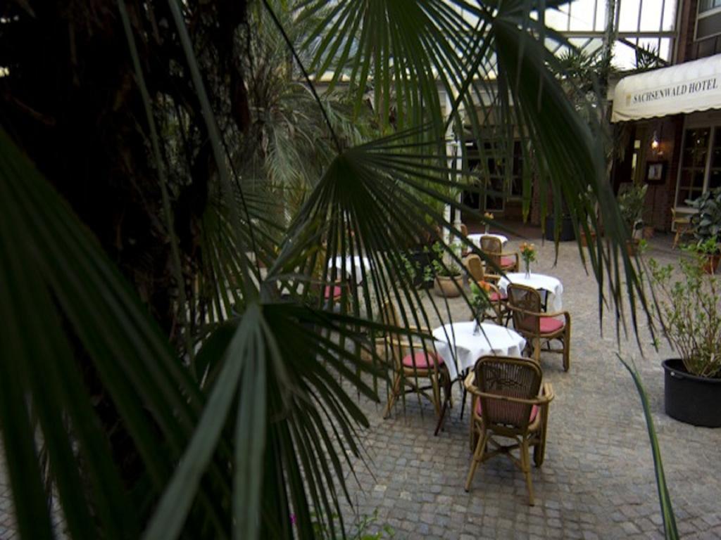 Sachsenwald Hotel 라인벡 외부 사진